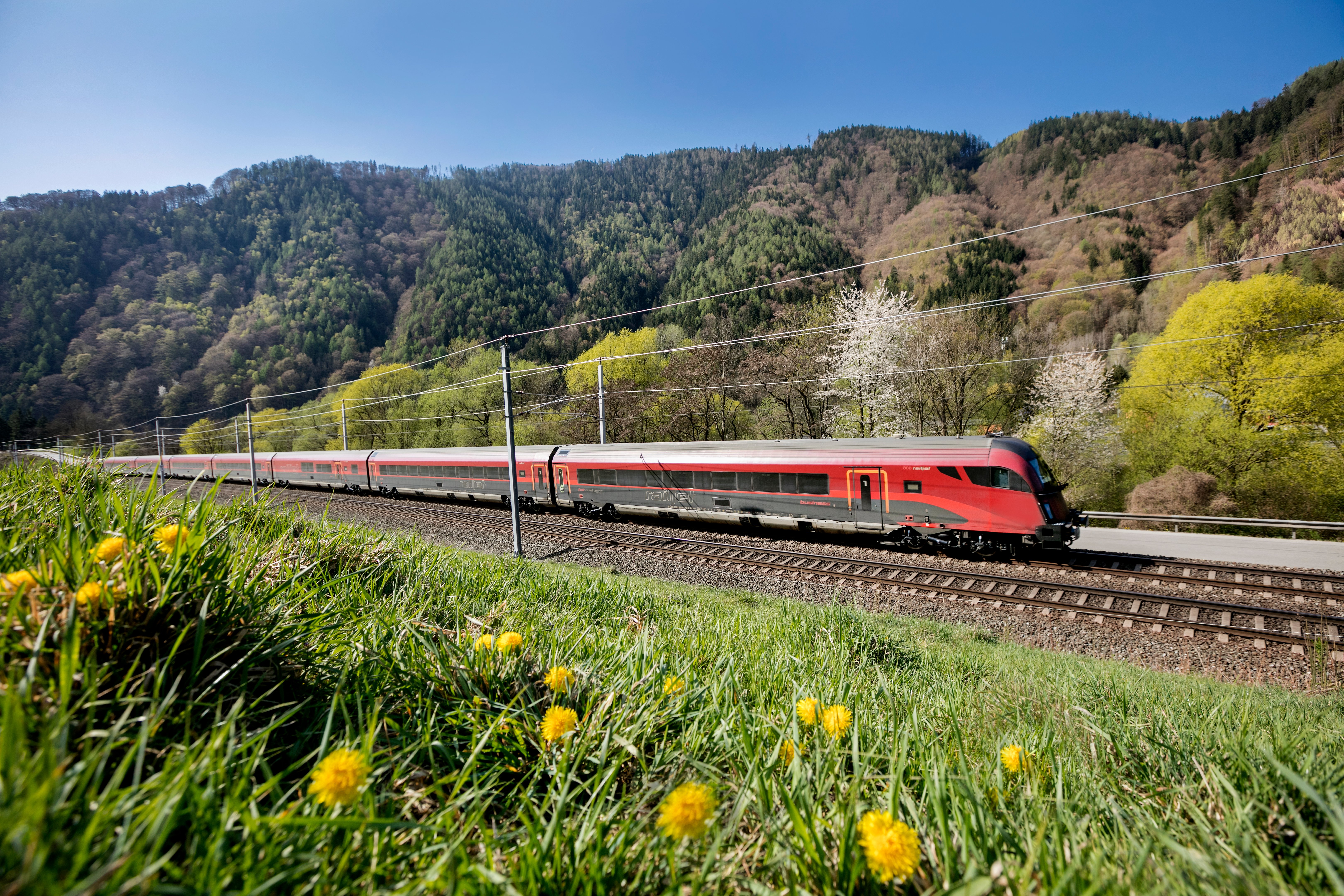 Nachhaltige Aussichten | © Harald Eisenberger 