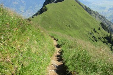  Summer vacation in Zell am See-Kaprun | © Zell am See-Kaprun Tourismus