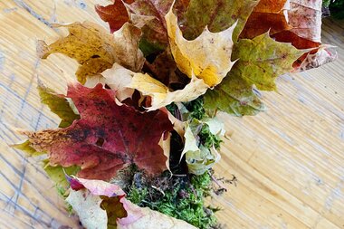 Leaves can provide colourful accents | © Zell am See-Kaprun Tourismus