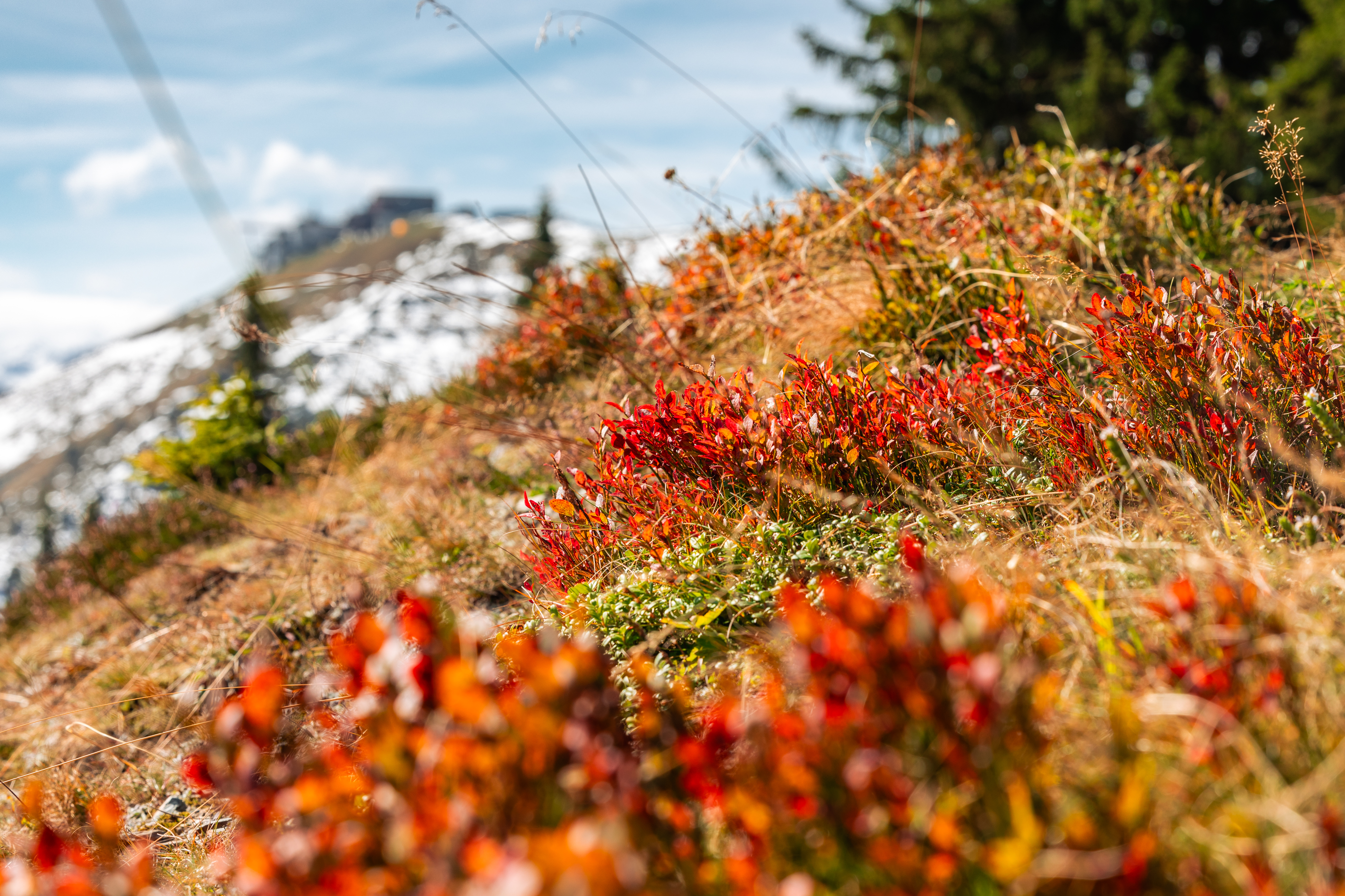 The Easiest Recipe from Zell am See-Kaprun | © Zell am See-Kaprun Tourismus