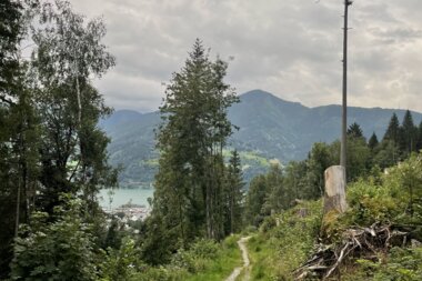 The path is very varied | © Stephanie Spatt I Zell am See-Kaprun Tourismus