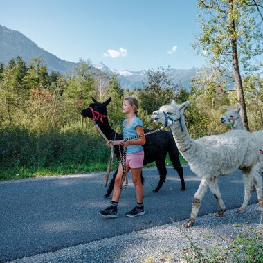 Three children walking with 4 alpacas/llamas | © Zell am See-Kaprun Tourismus