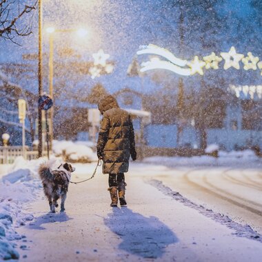 Holidays with your dog in Zell am See-Kaprun | © JFK Photography