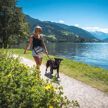 Holidays with dog between glacier, mountain and lake | © Zell am See-Kaprun Tourismus