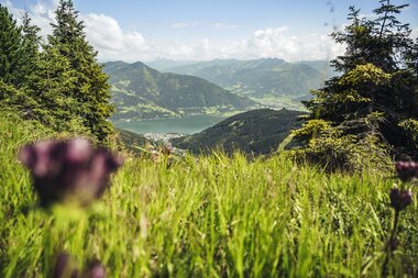 View of the lake from the Schmittenhöhe | © Zell am See-Kaprun Tourismus