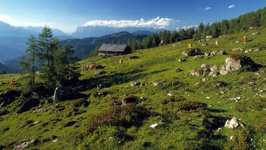 Mountain scenery in the Alps | © Zell am See-Kaprun Tourismus